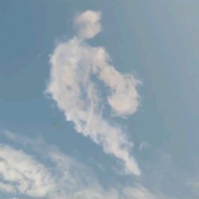 @凯凯已喝醉