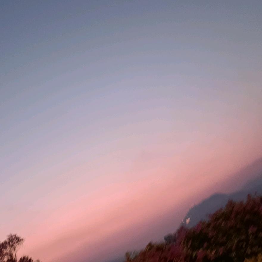 但无忧