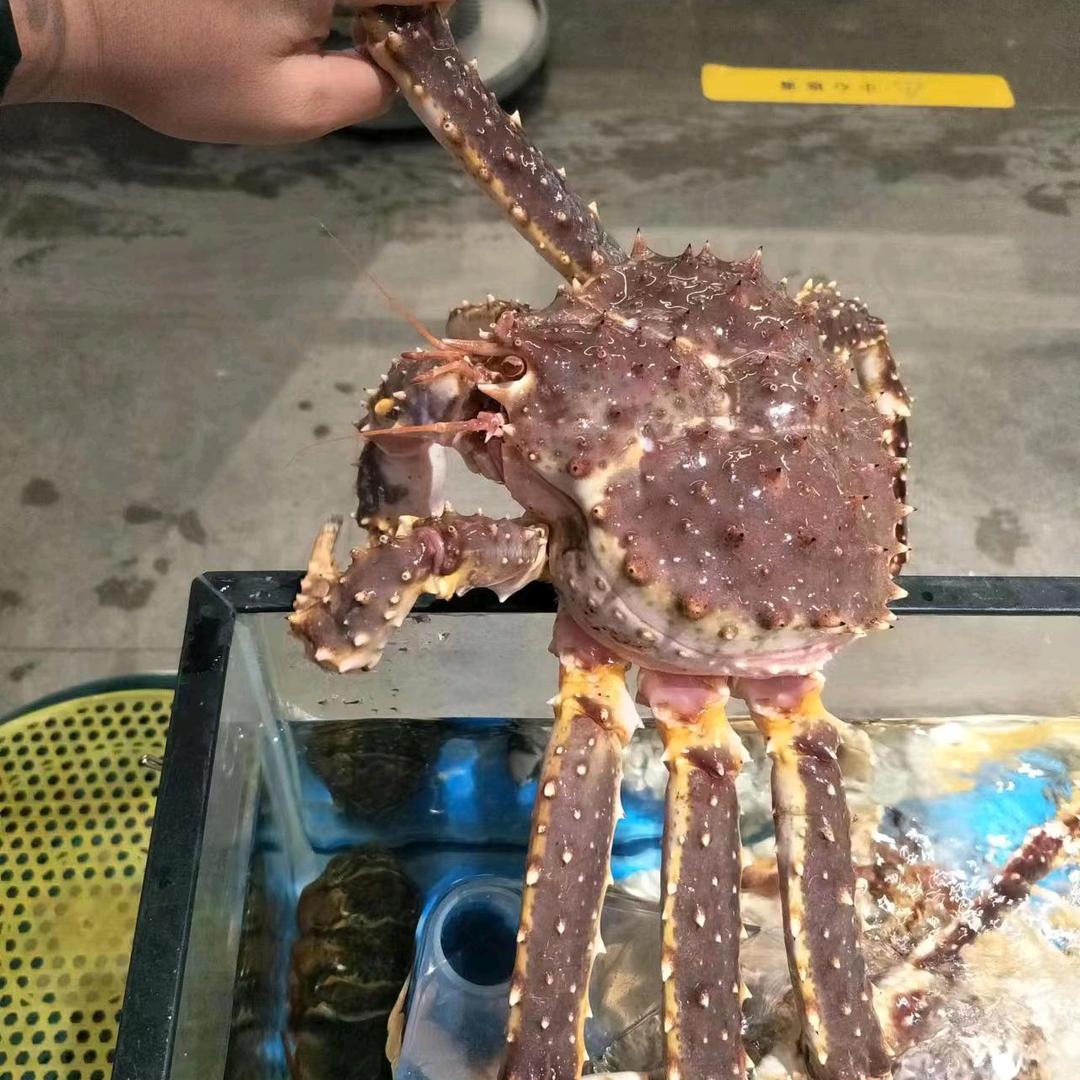 代县渔港海鲜店