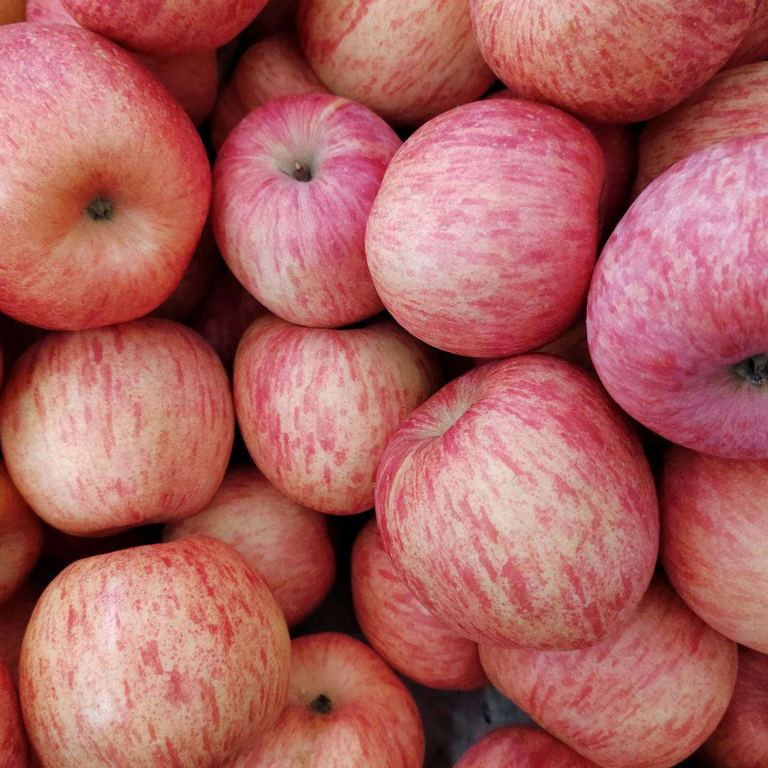 李～烟台栖霞杨础