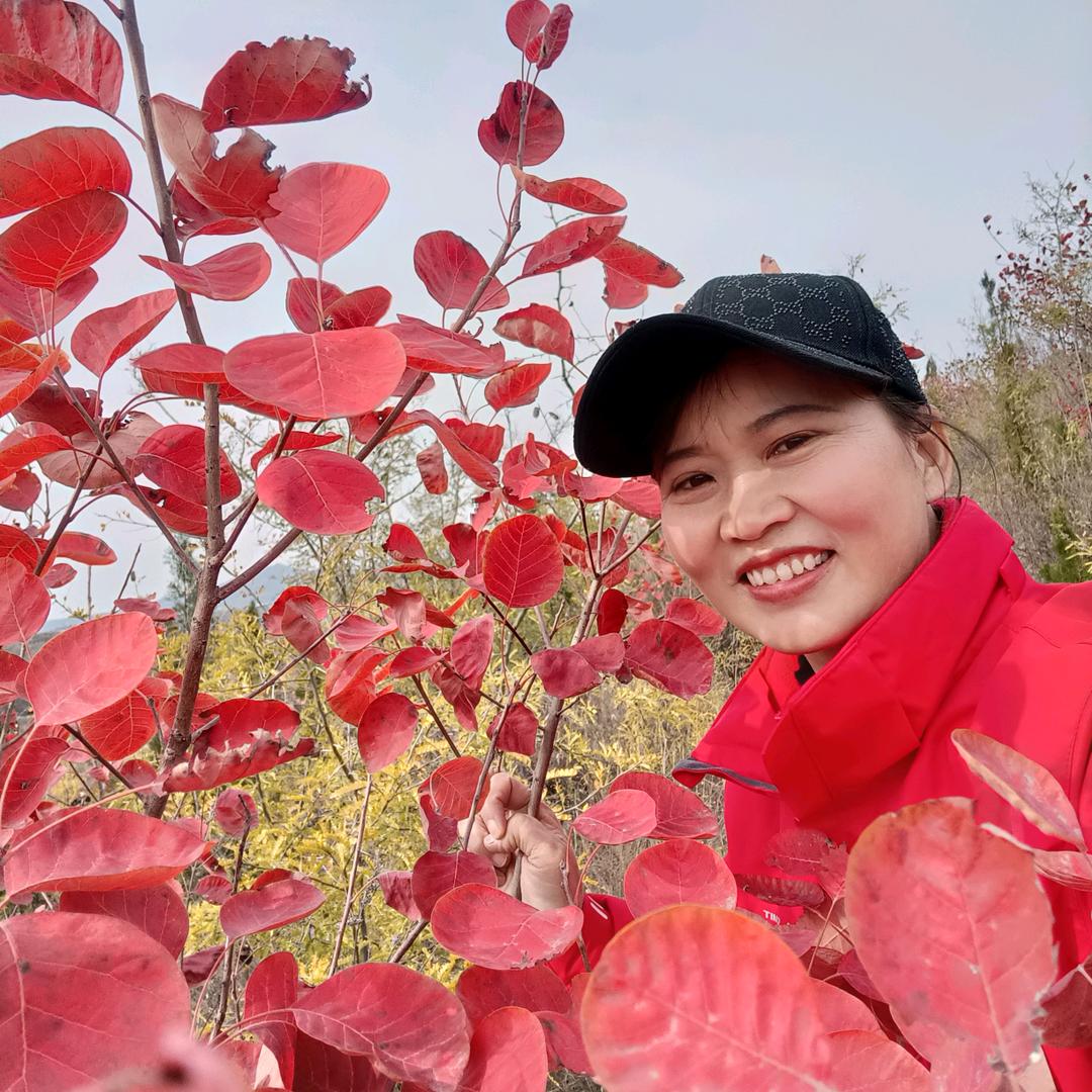 潜墨鱼儿
