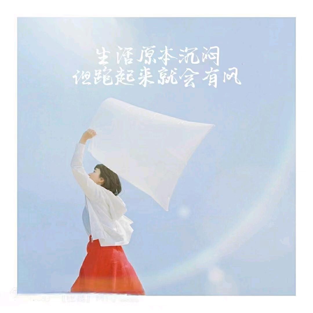 韩芝