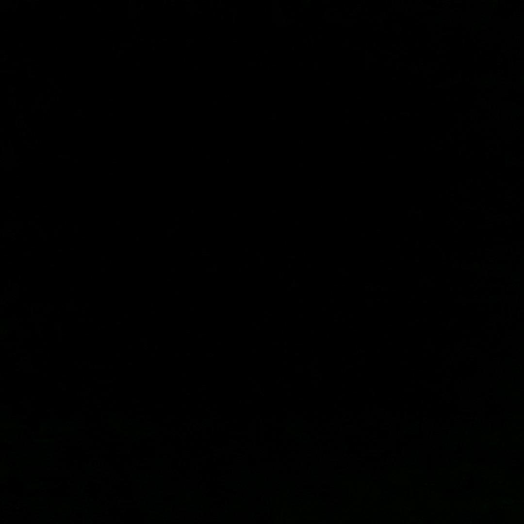 公子1316