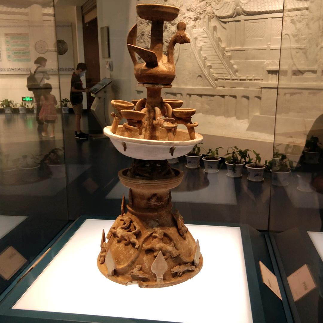 含羞草