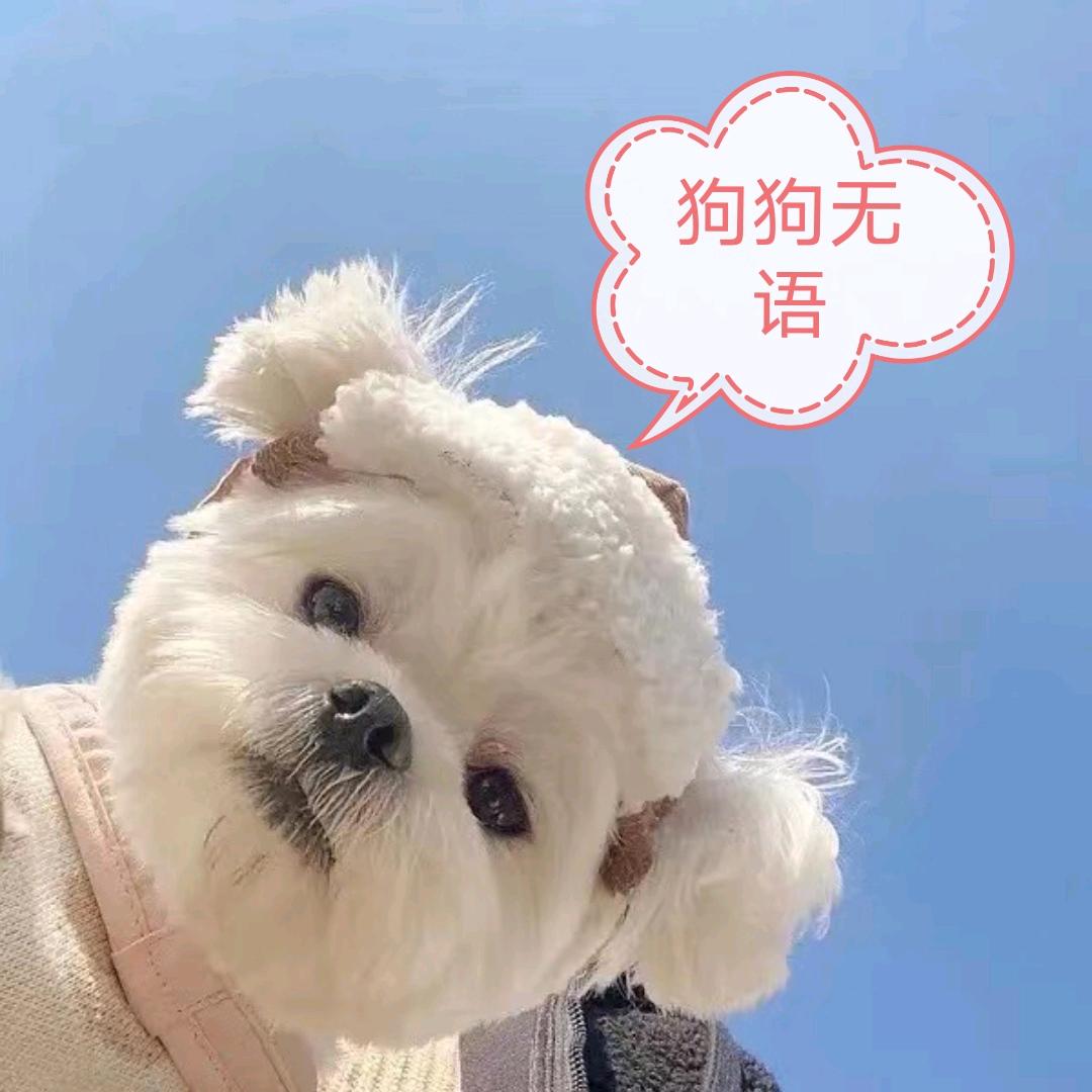 露西