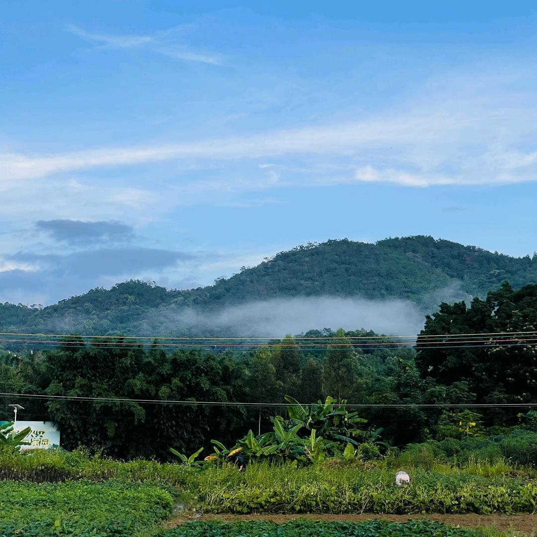 山水有来路🍃