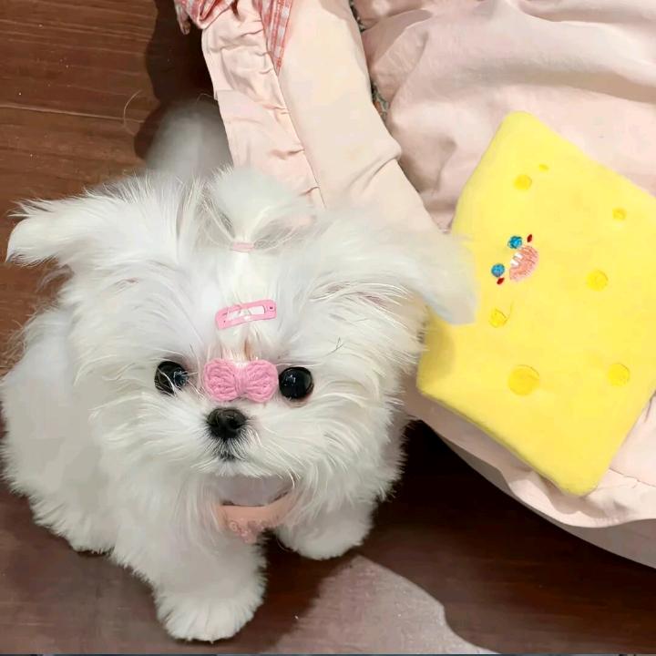 不记得