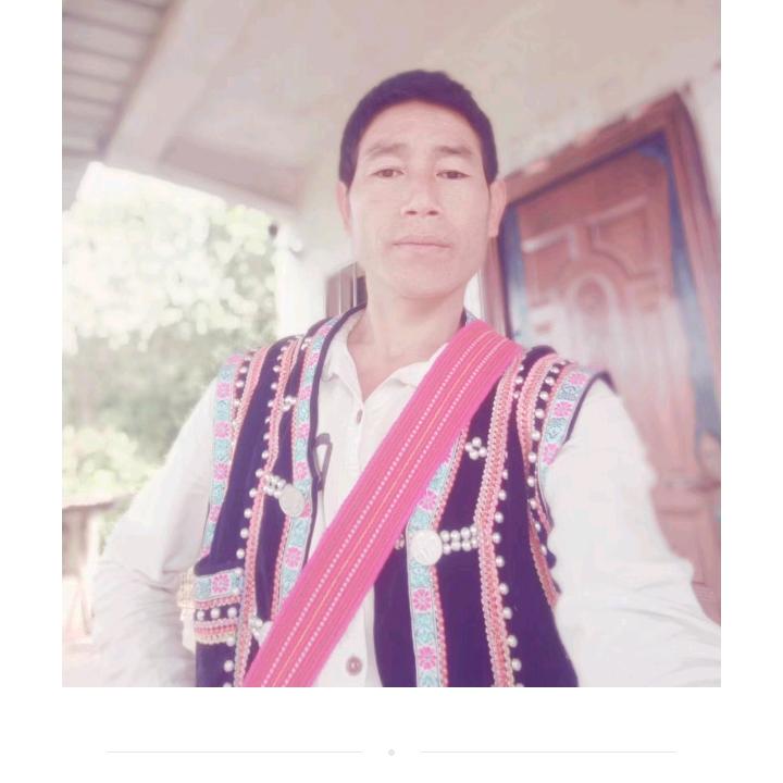 少爷爱小丫头