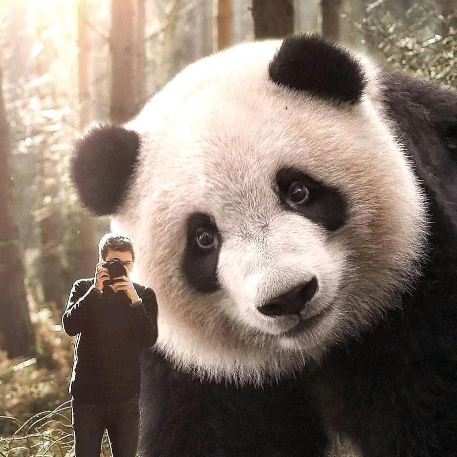 摄影师熙熙攘攘