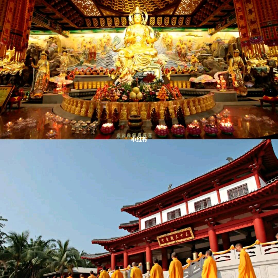 新旅国际眉县分公司阿宁