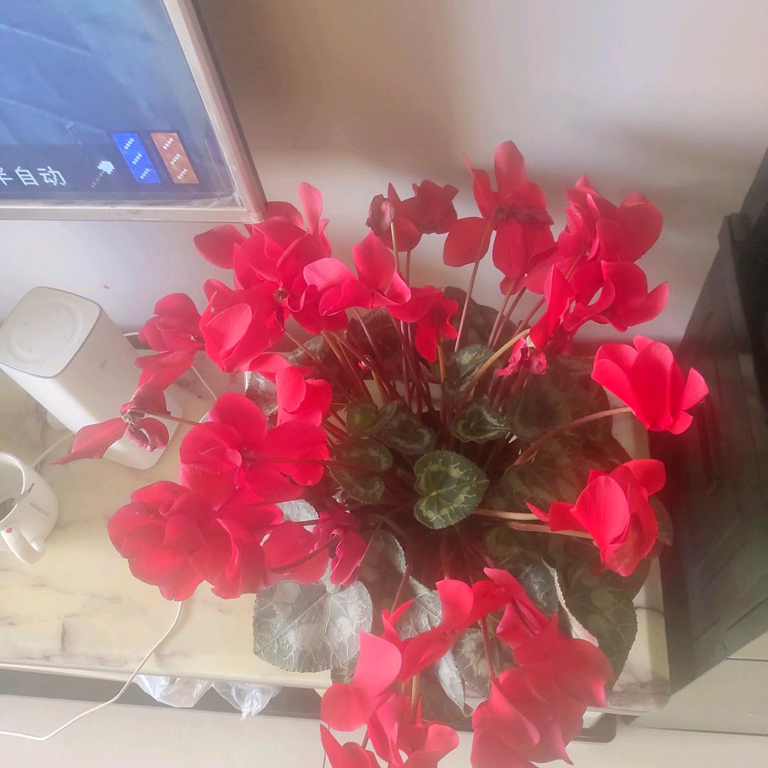 快乐芳姐：拒绝私聊