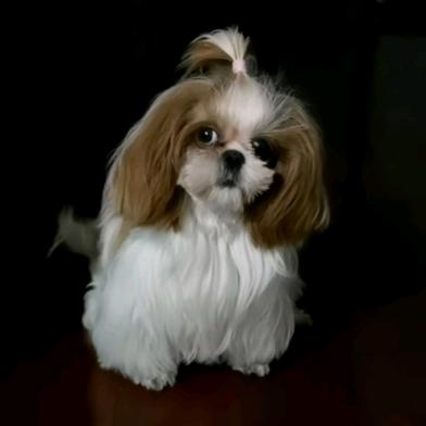阿香