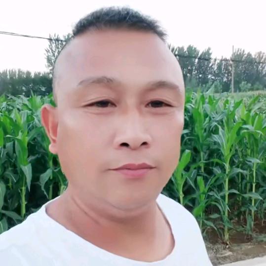 日出东方玉东