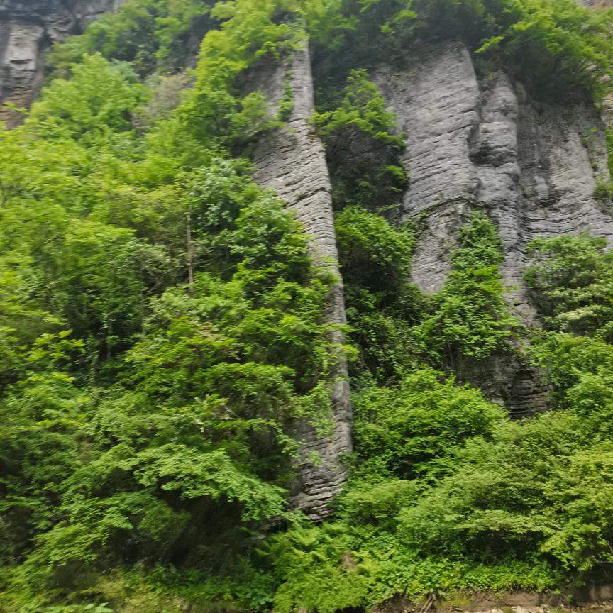 哈，个杂的