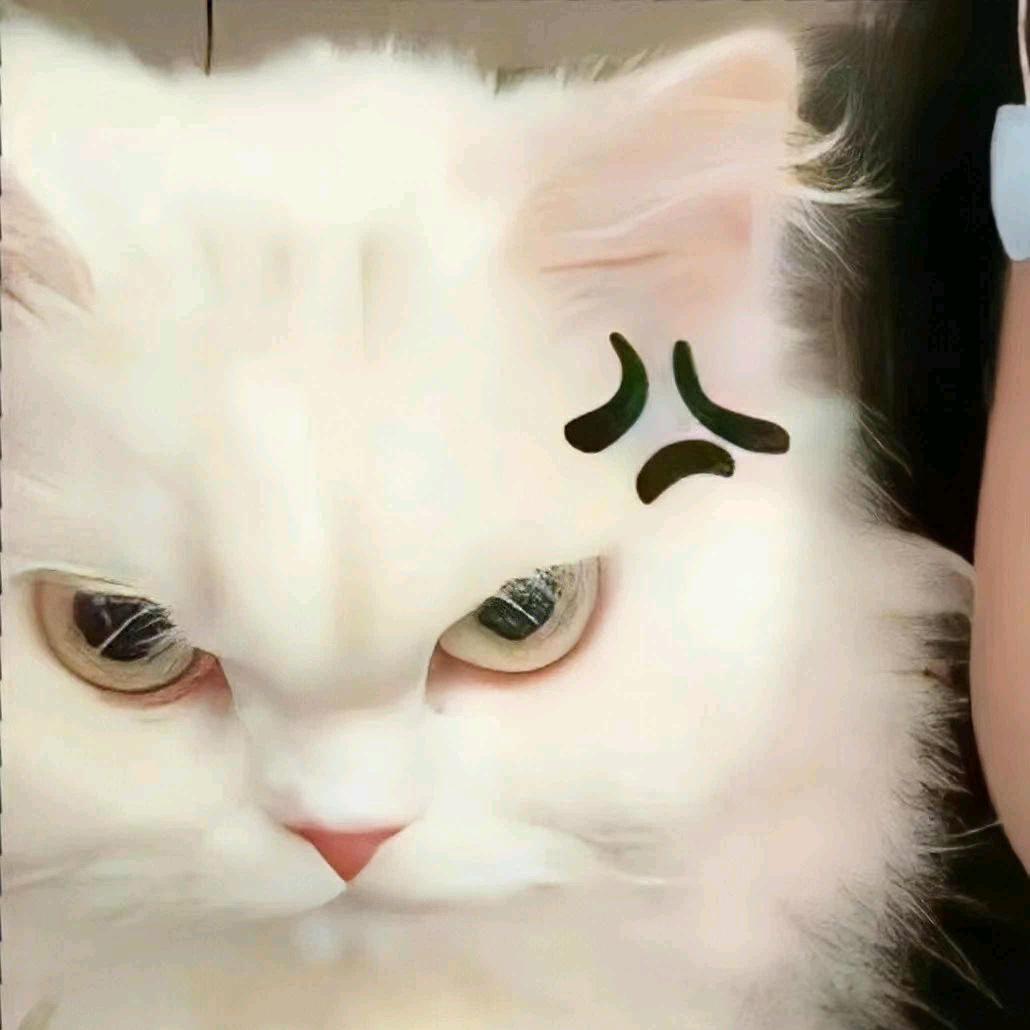 珍珍日上