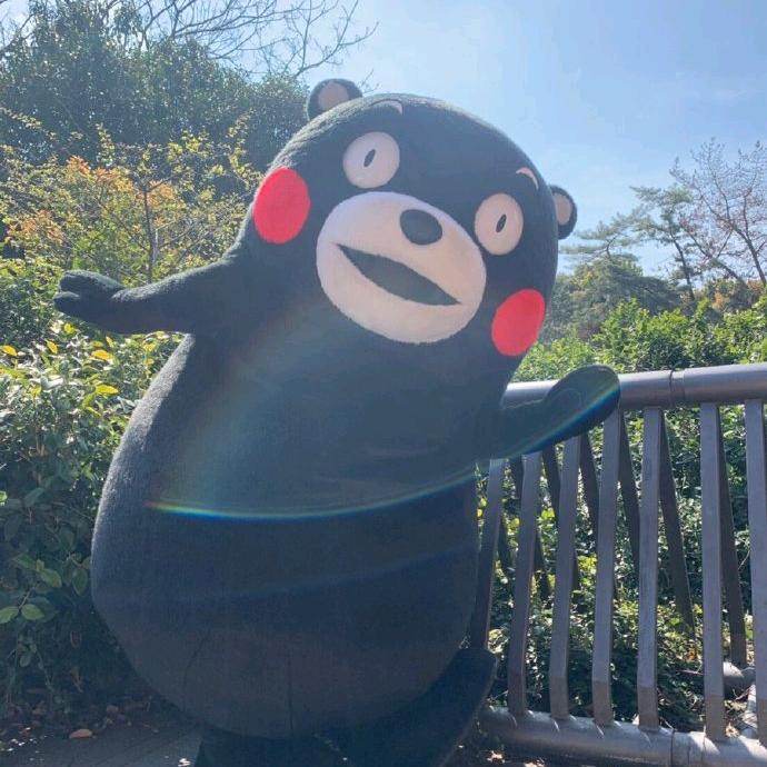 (●—●)～(￣▽￣～)(～￣▽￣)～头像