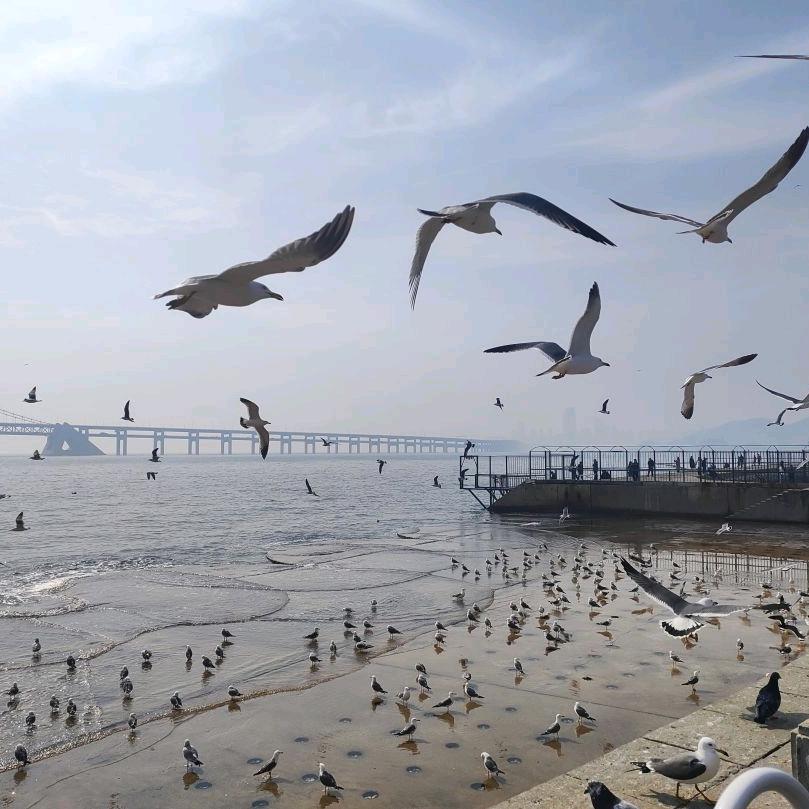 《开心每一天》