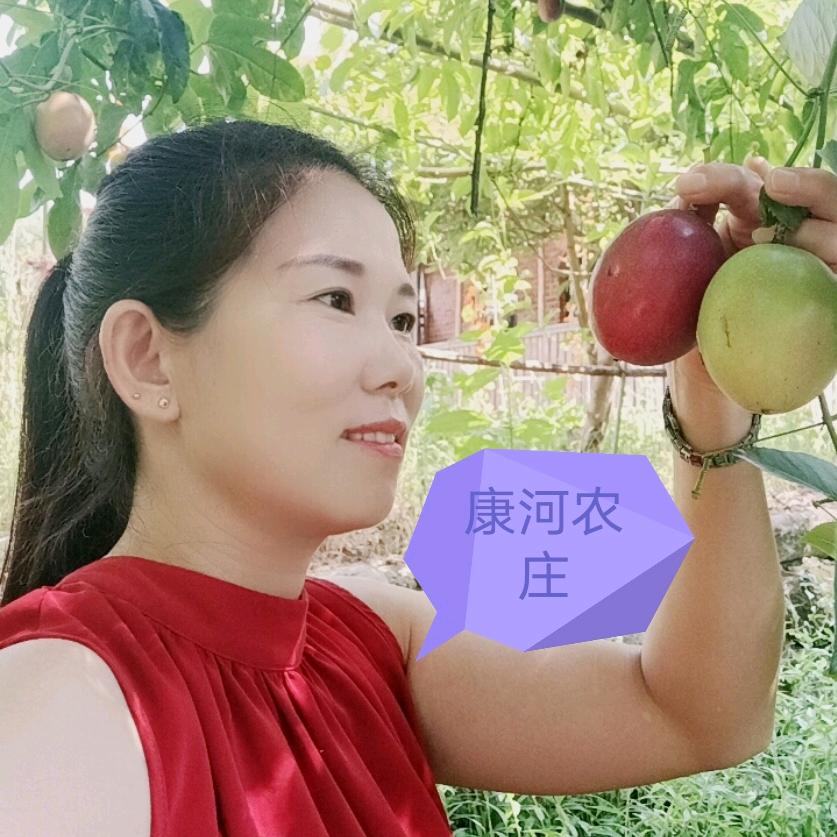 千家峒山峰康河农庄，阳