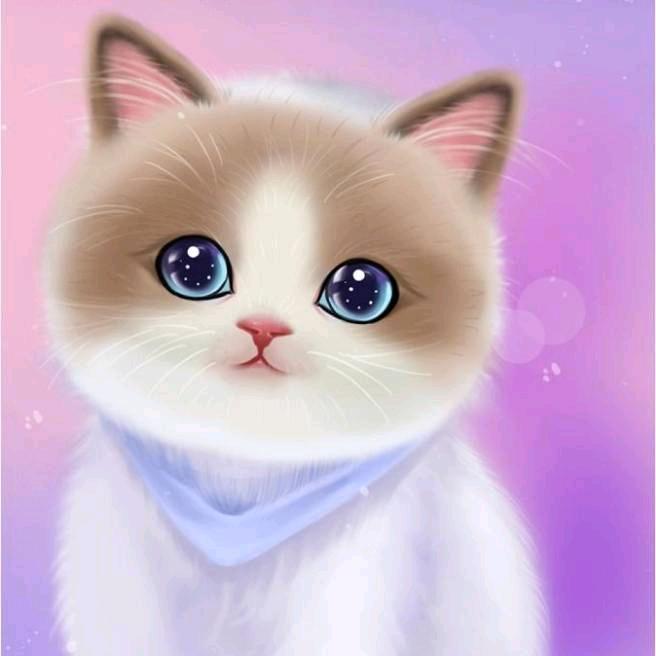 小夏