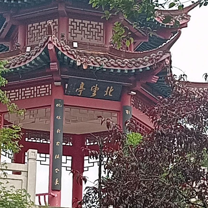 真情实意