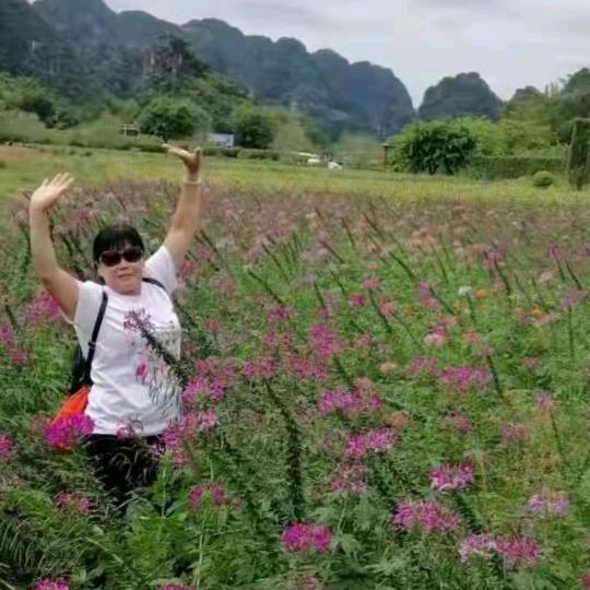 凤凰传奇