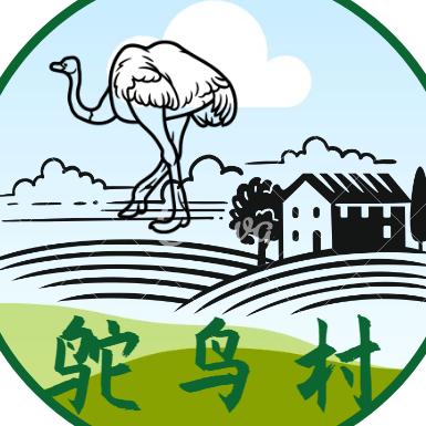 鸵鸟村