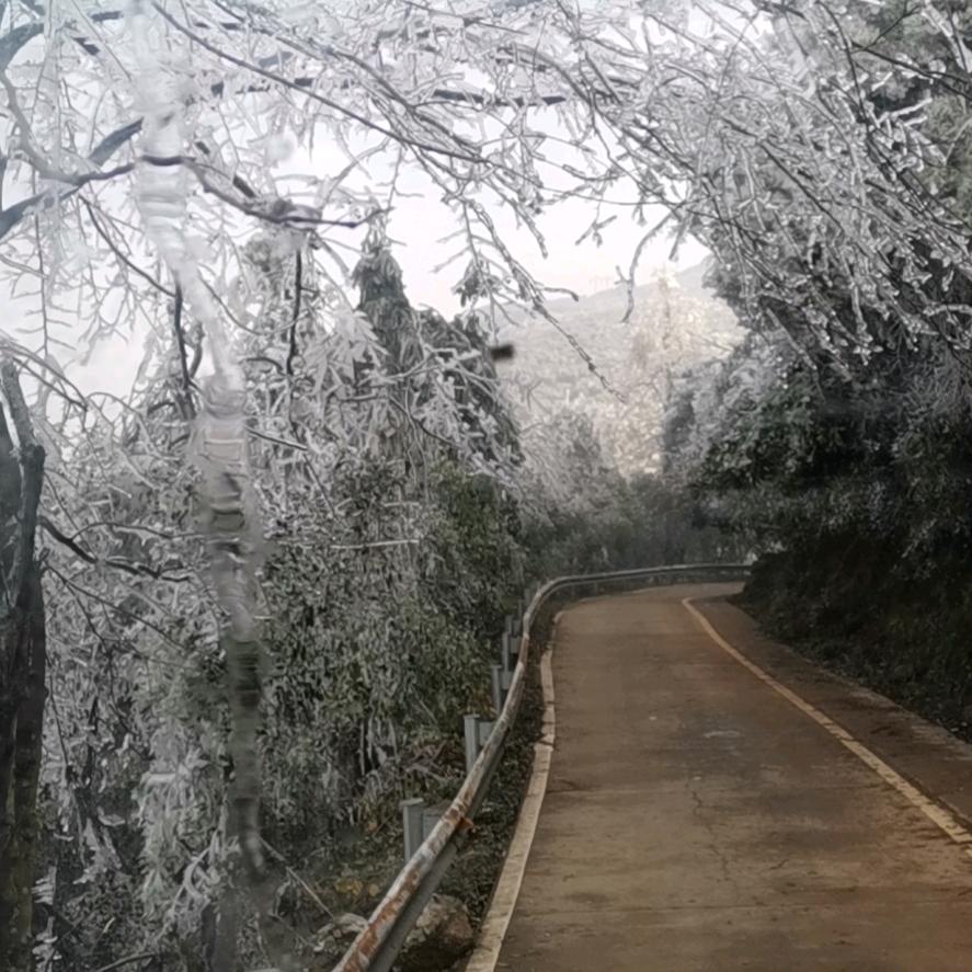 挖机小杨