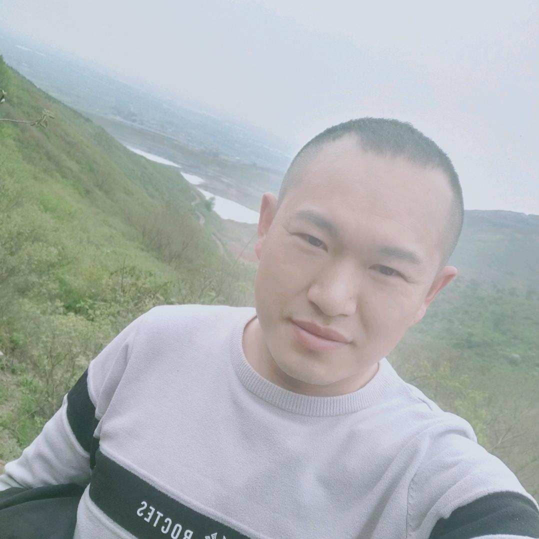 涛弟