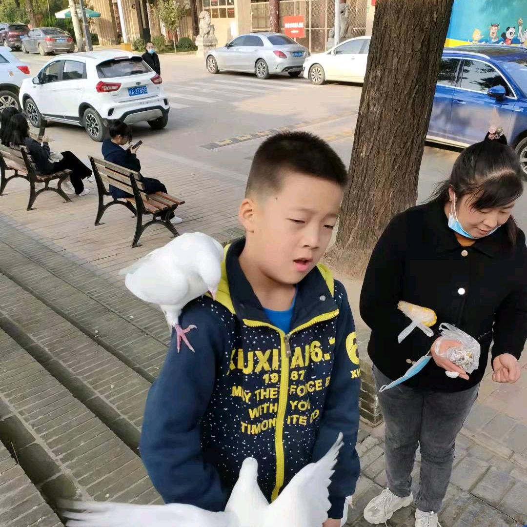 礼泉县聚又鲜便民超市主营水果蔬菜