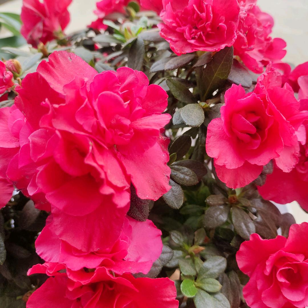 新的一年新的开始