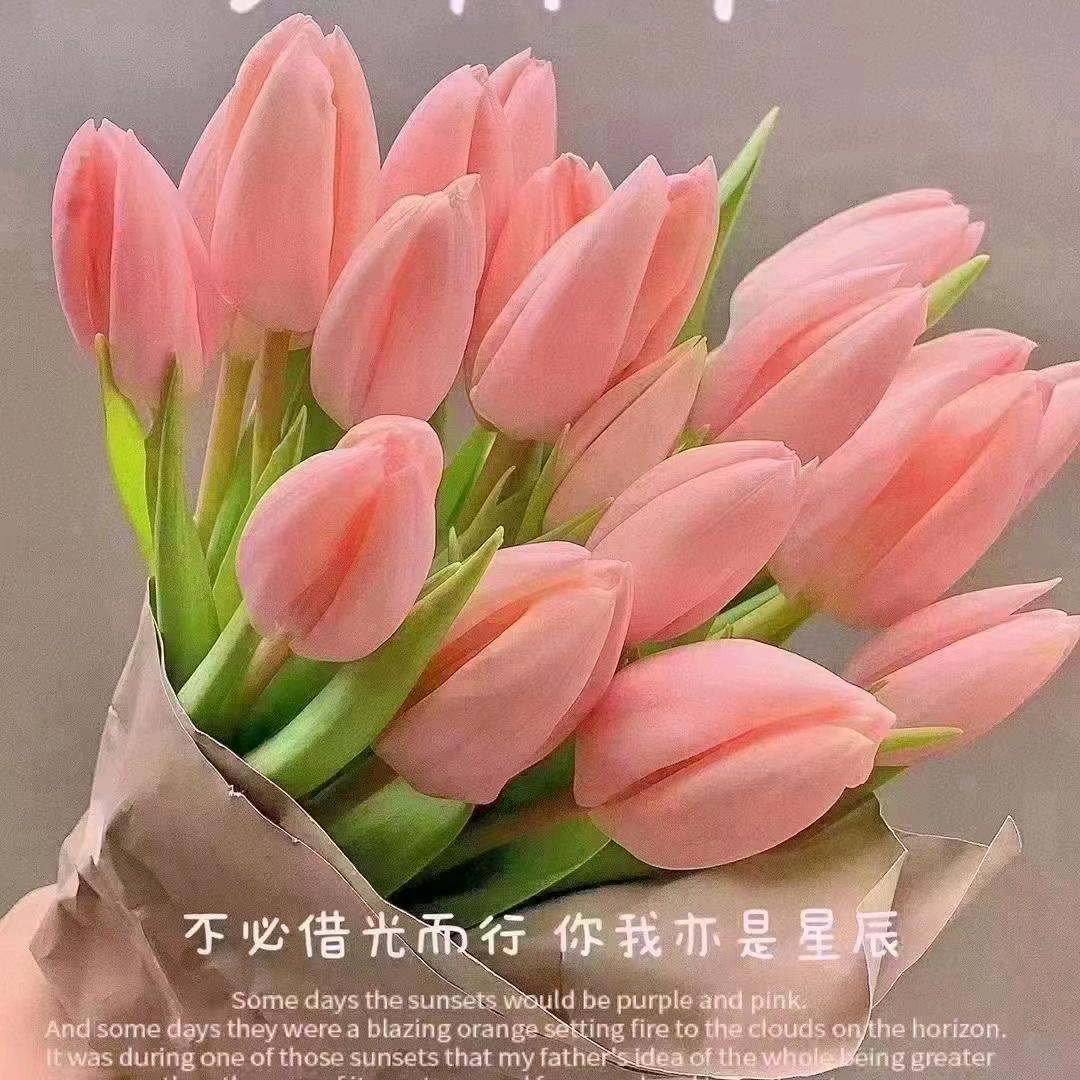 刘姐护肤仓库