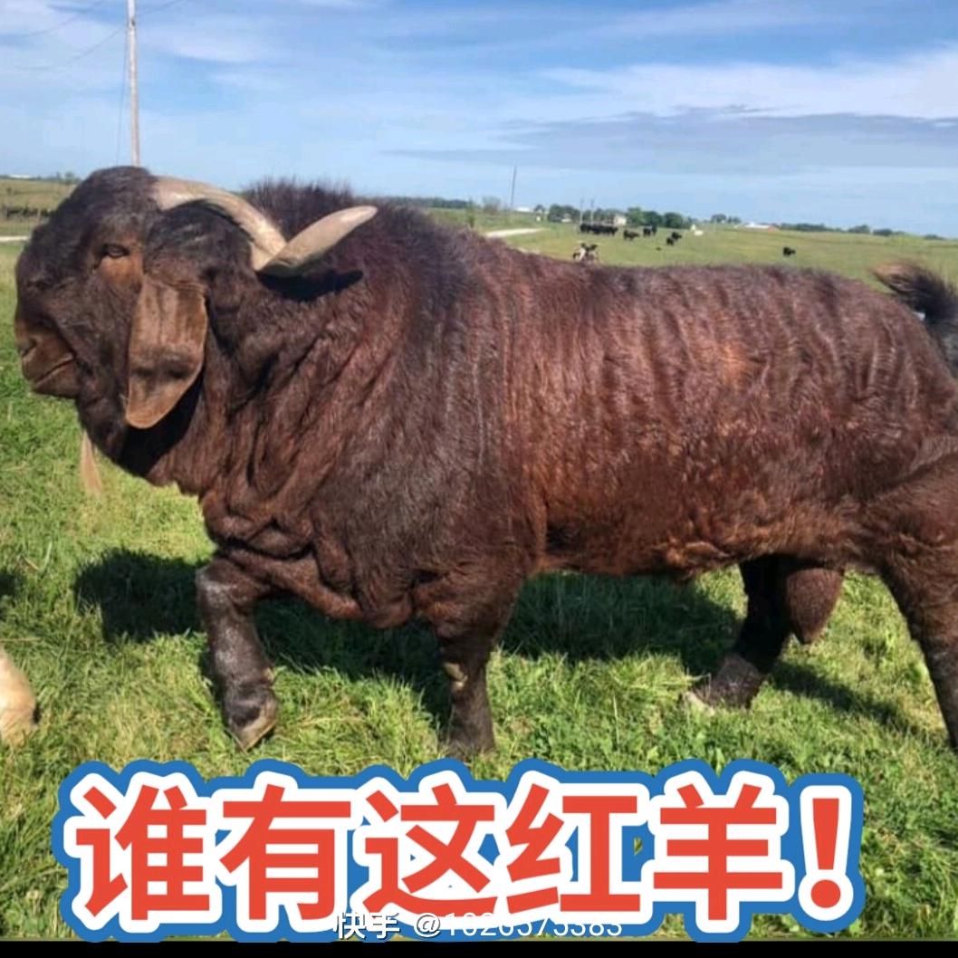 自由人生