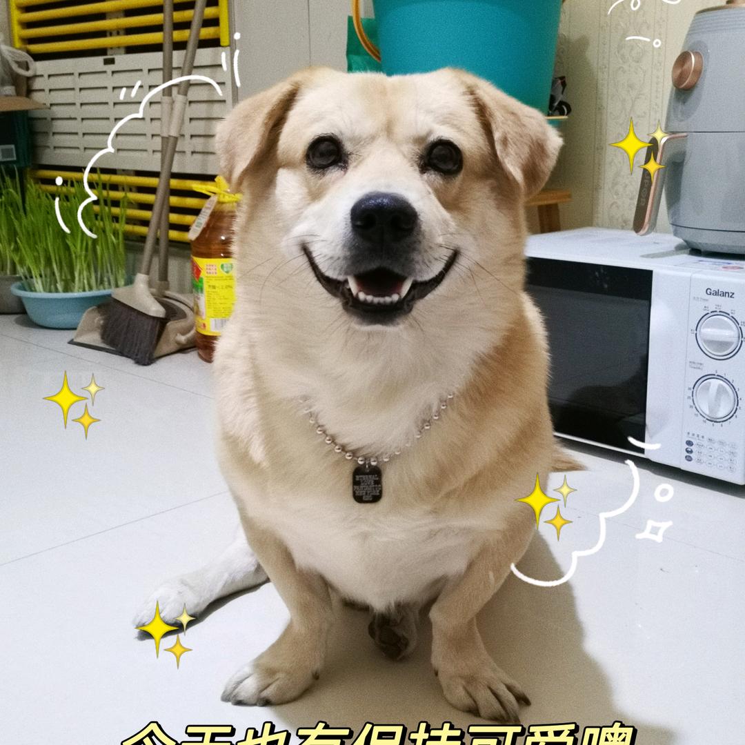 屋里屋里⭐️⭐️