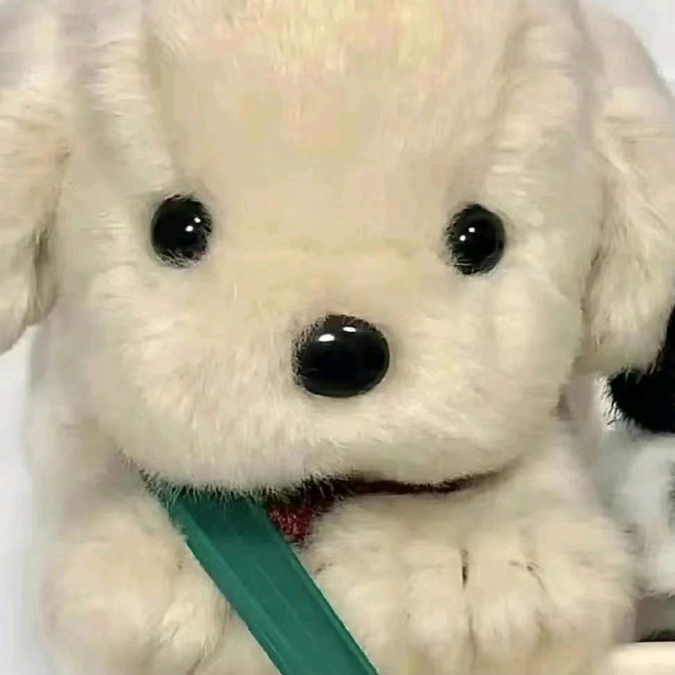 小谭不在线