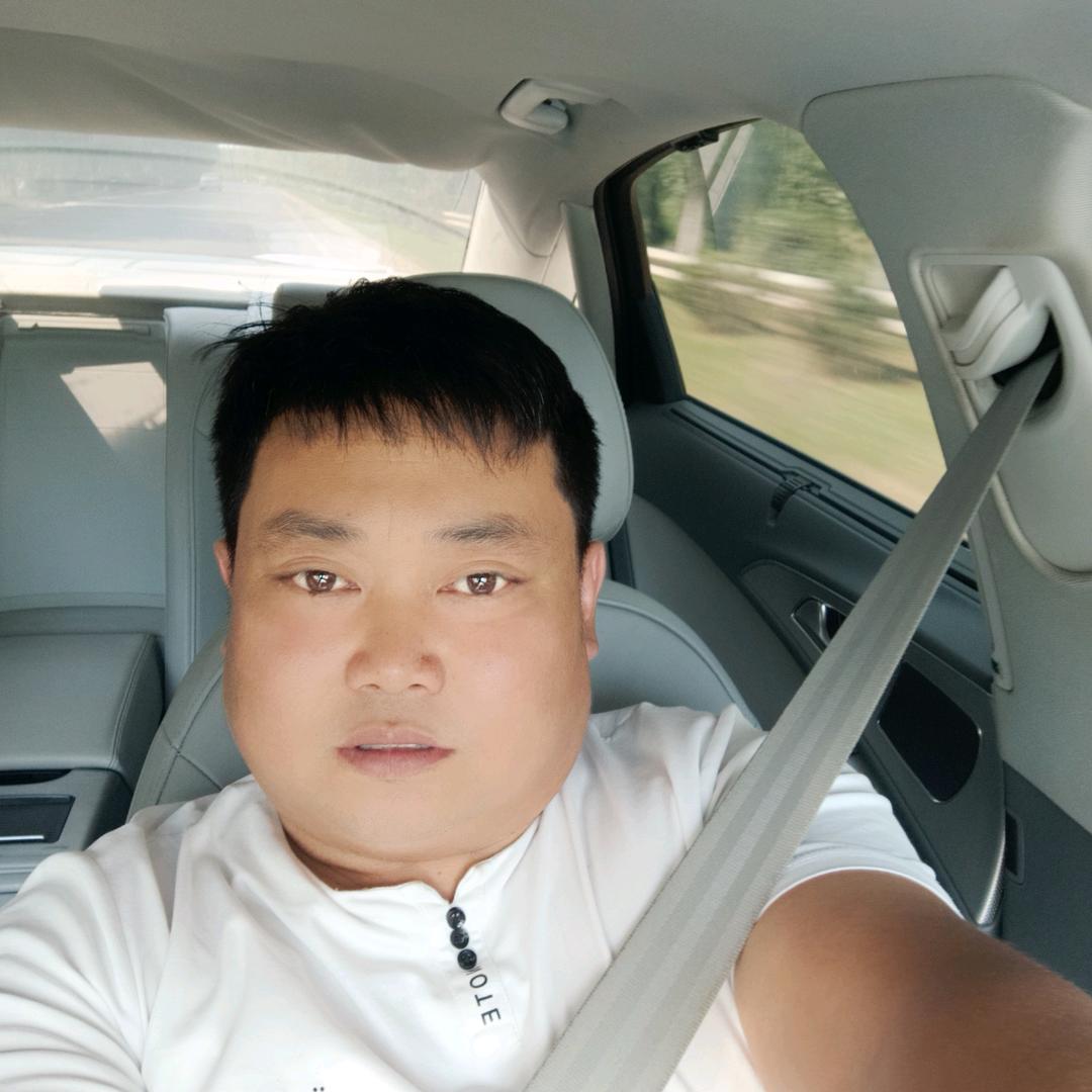 家旺新能源车