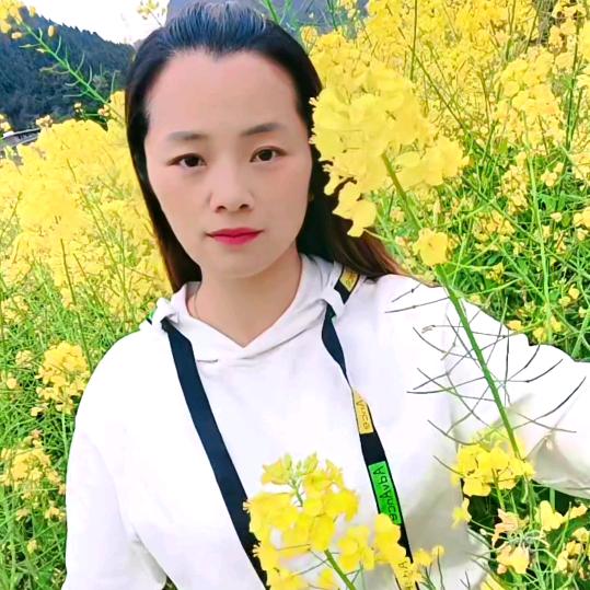 柠檬🍋青春乐队主持人