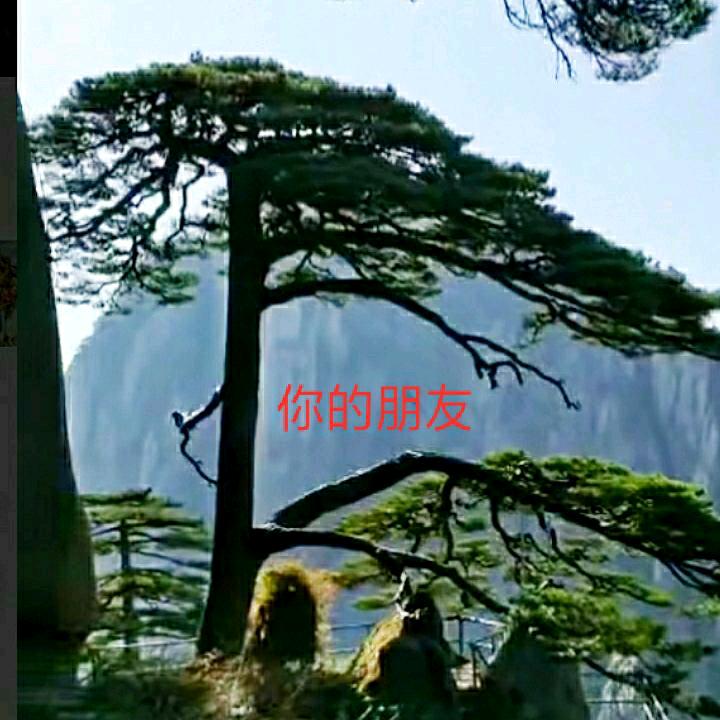 @张哥🇨🇳*20192019