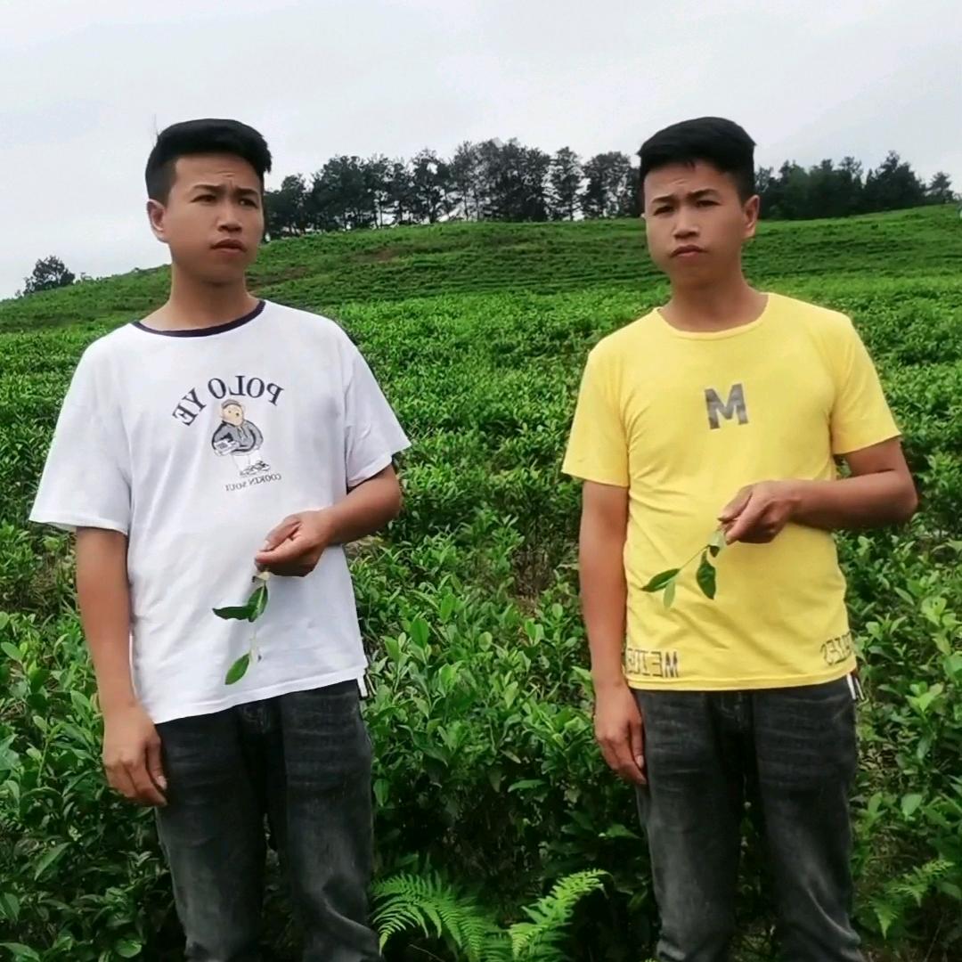 毕节小焦哥