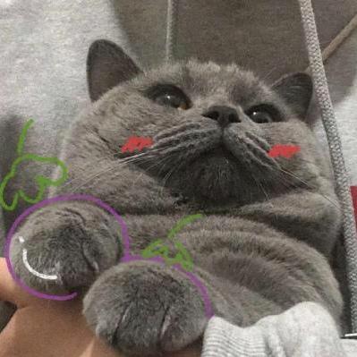 晨光