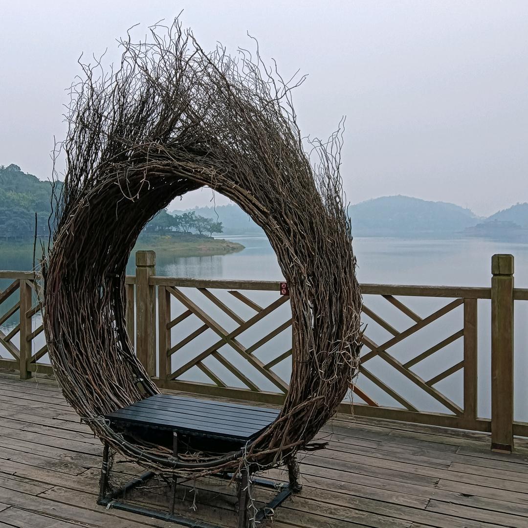 没有可乐