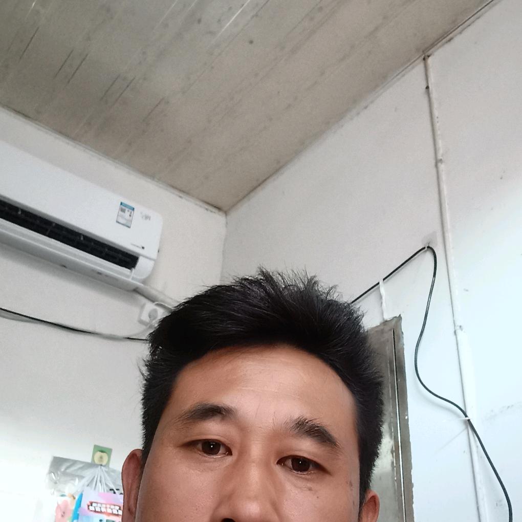 高原飞鹰