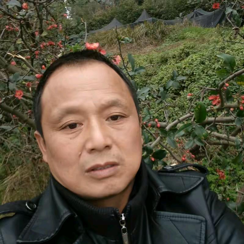 顺心❤️如亿🐓