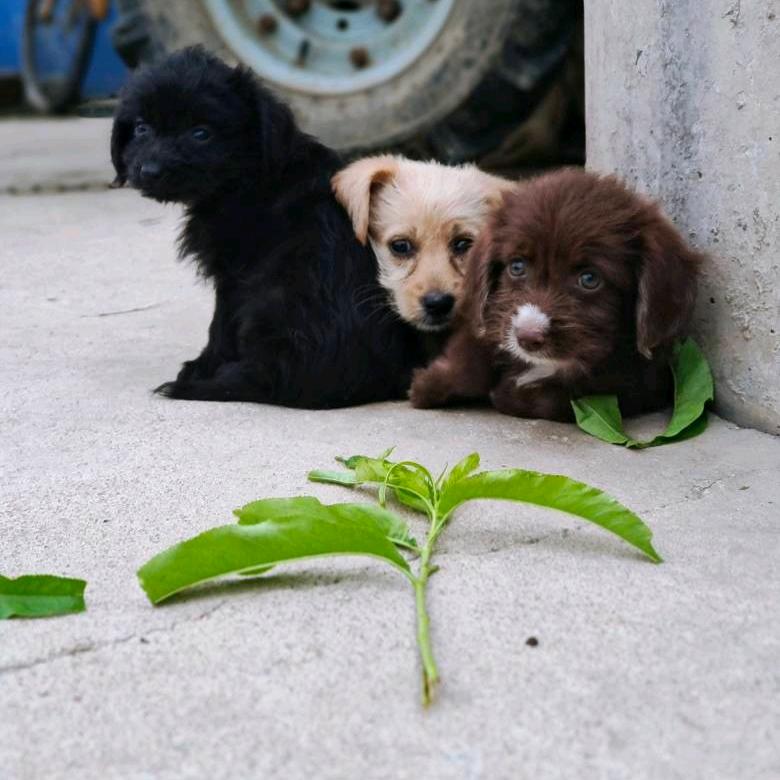 浅浅一笑😜😜😜