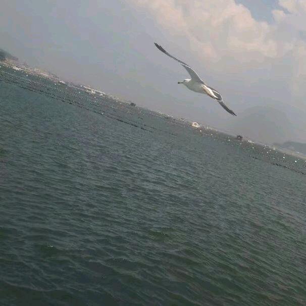 时来运转🇨🇳