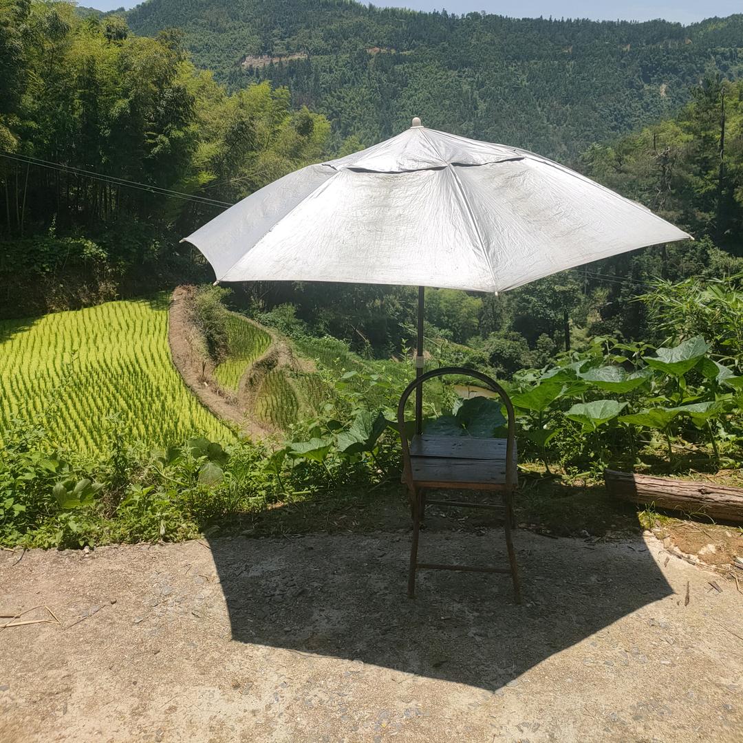 乡菜农味