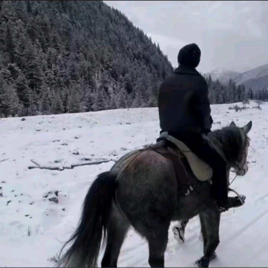 没有不劳而获🐎