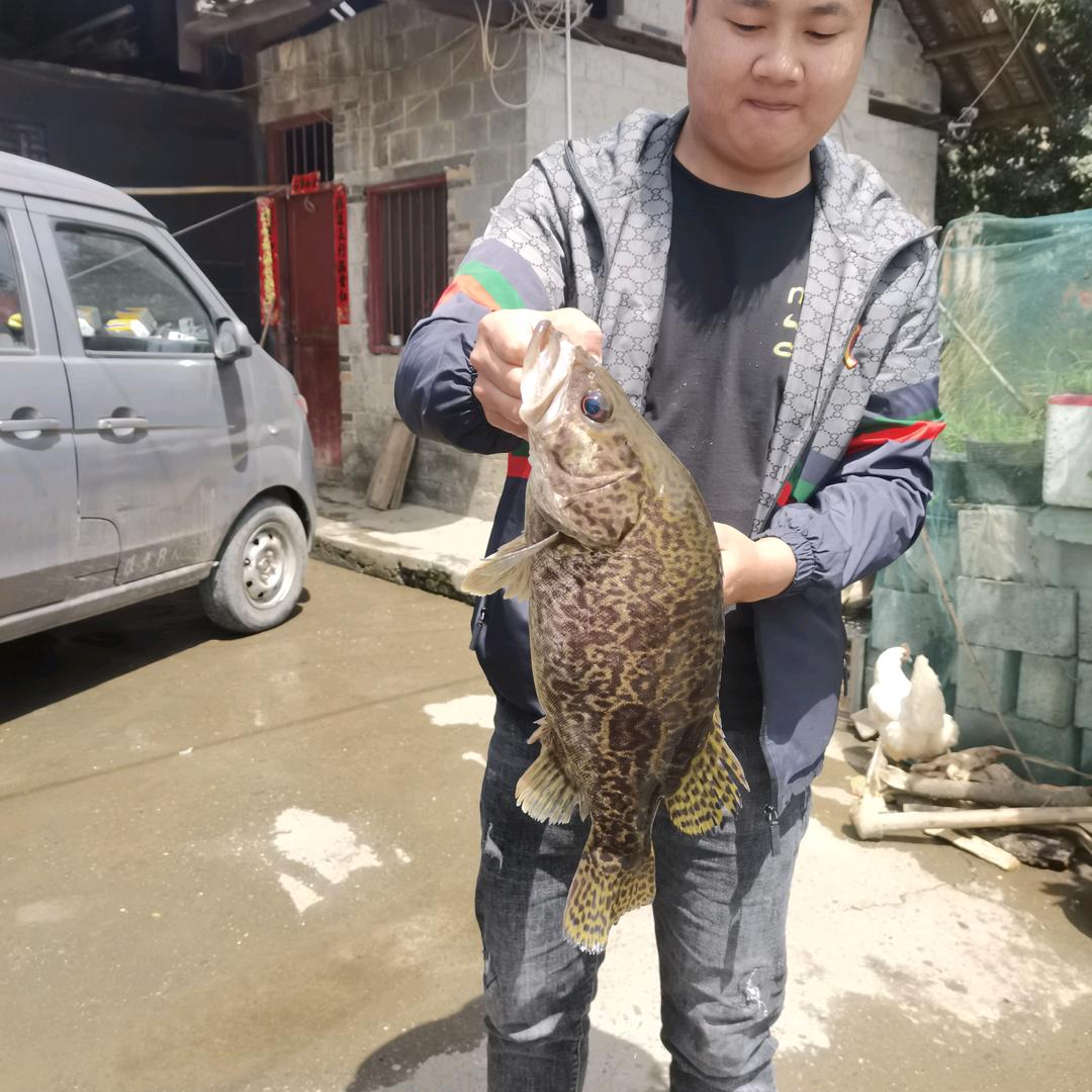 户外 小卡拉咪