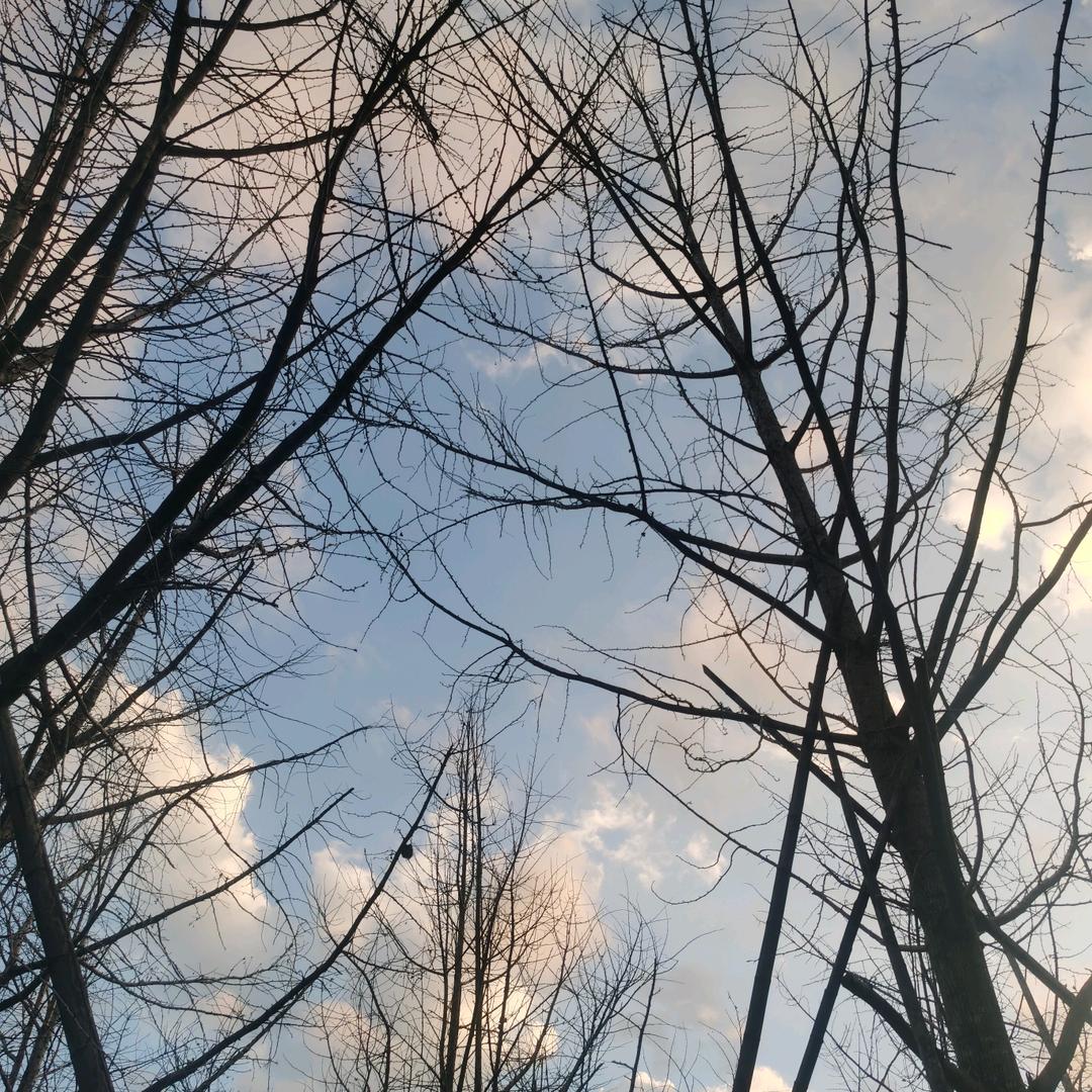 泡沫