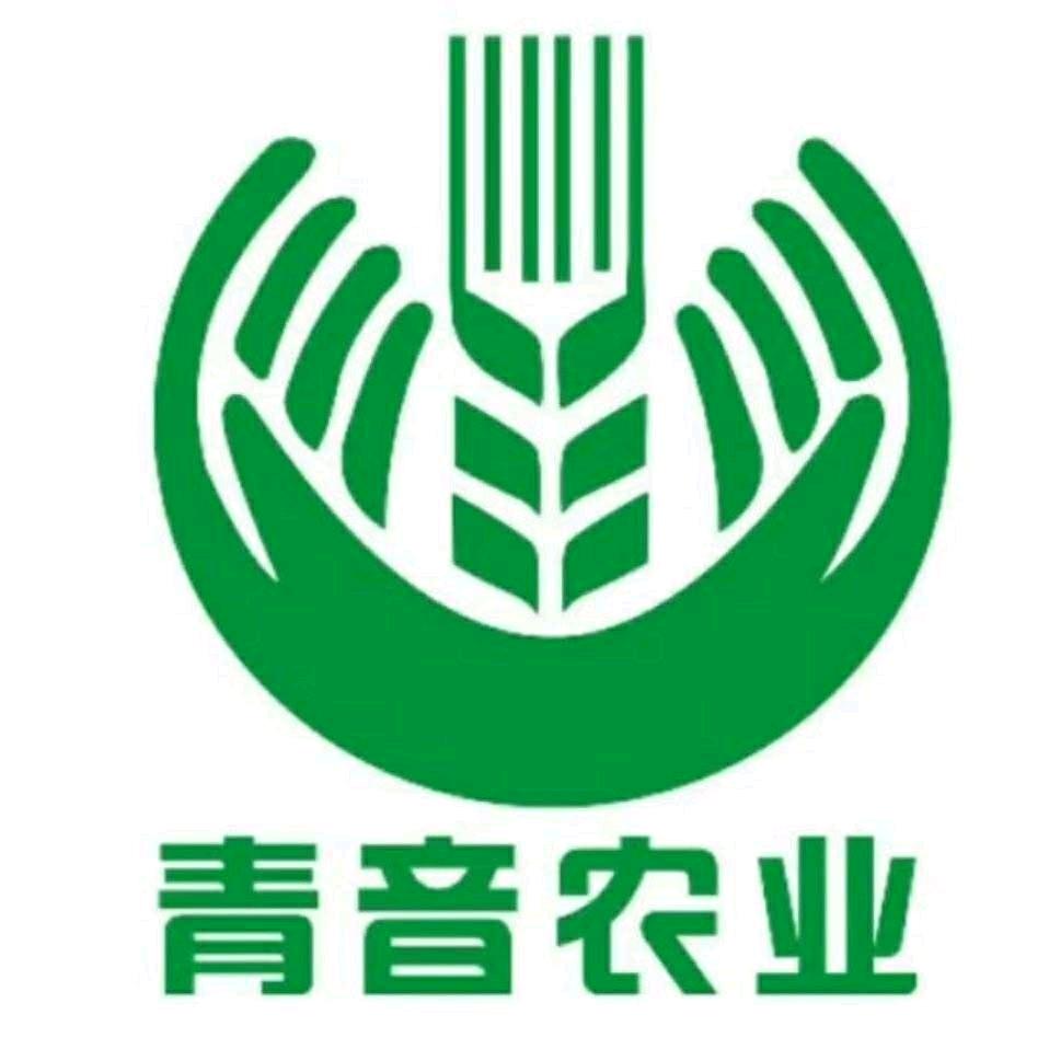 青音农业 小马