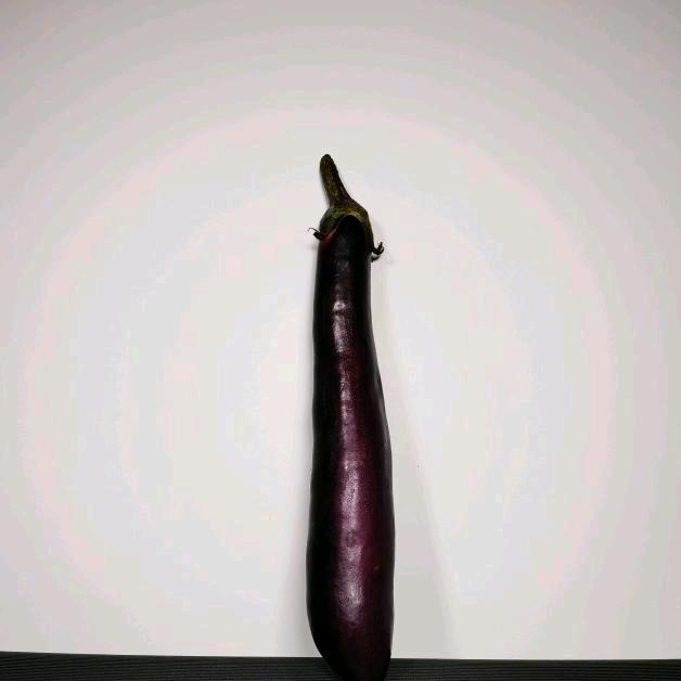 一个茄子🍆@抖音